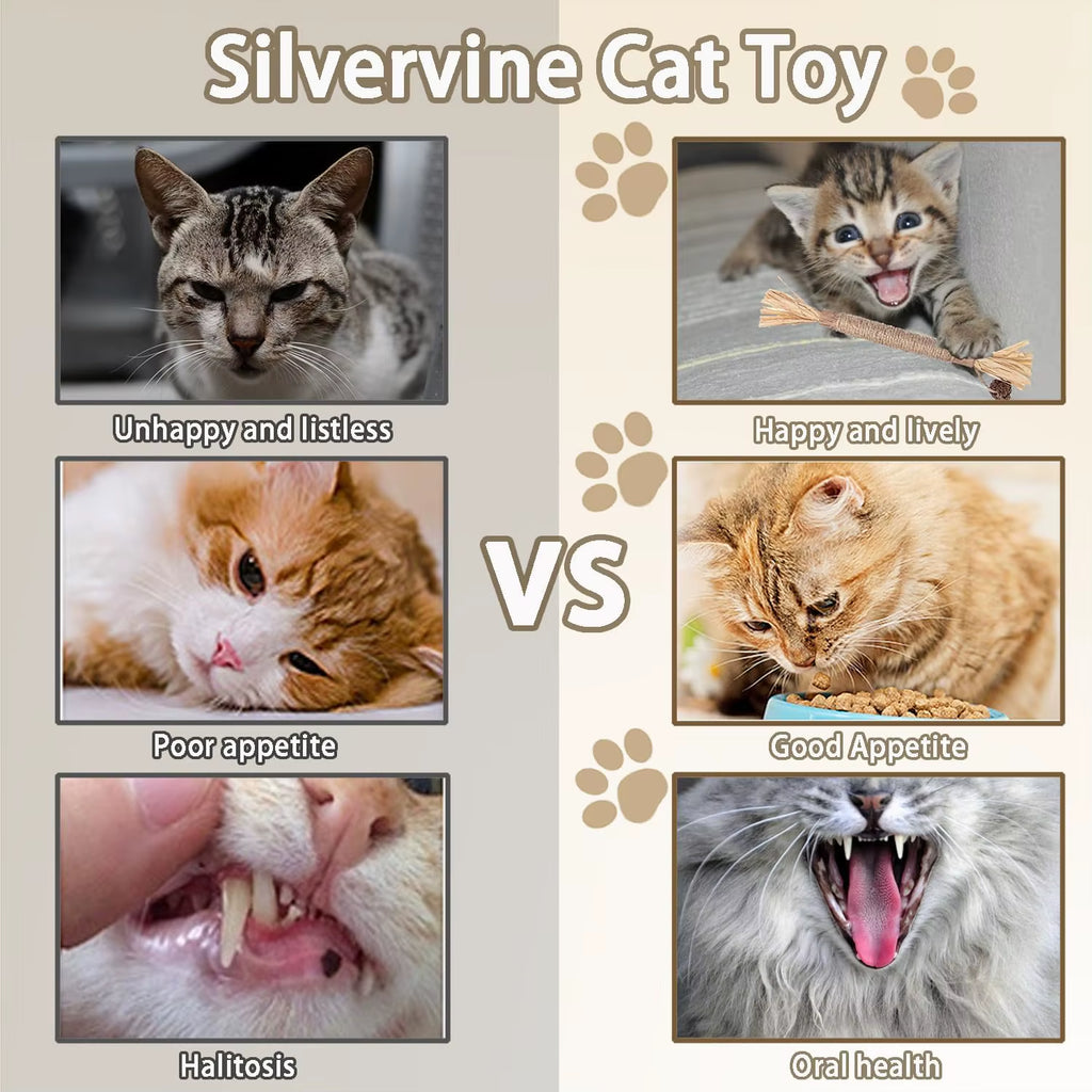Catnip Cat Toys Natural Matatabi Pet Cat Snacks Stick Cleans Tooth Removers Hair Silvervine Kitten Chew Toy Promote Digestion