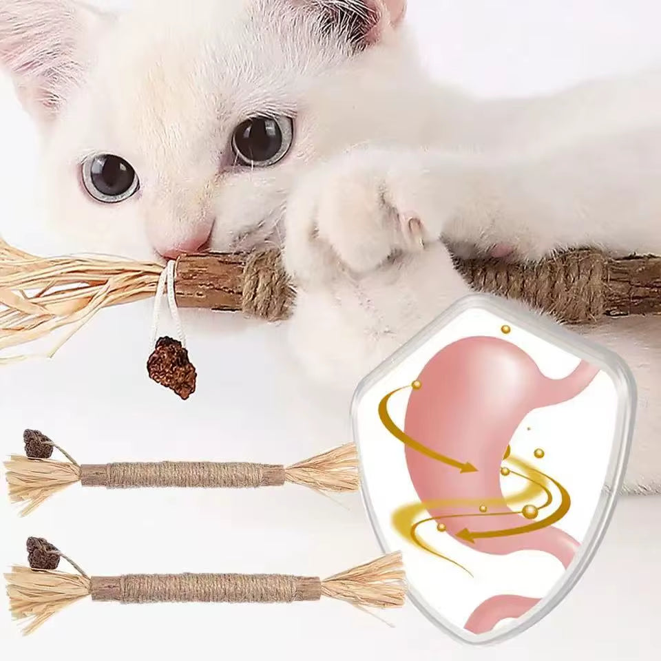 Catnip Cat Toys Natural Matatabi Pet Cat Snacks Stick Cleans Tooth Removers Hair Silvervine Kitten Chew Toy Promote Digestion