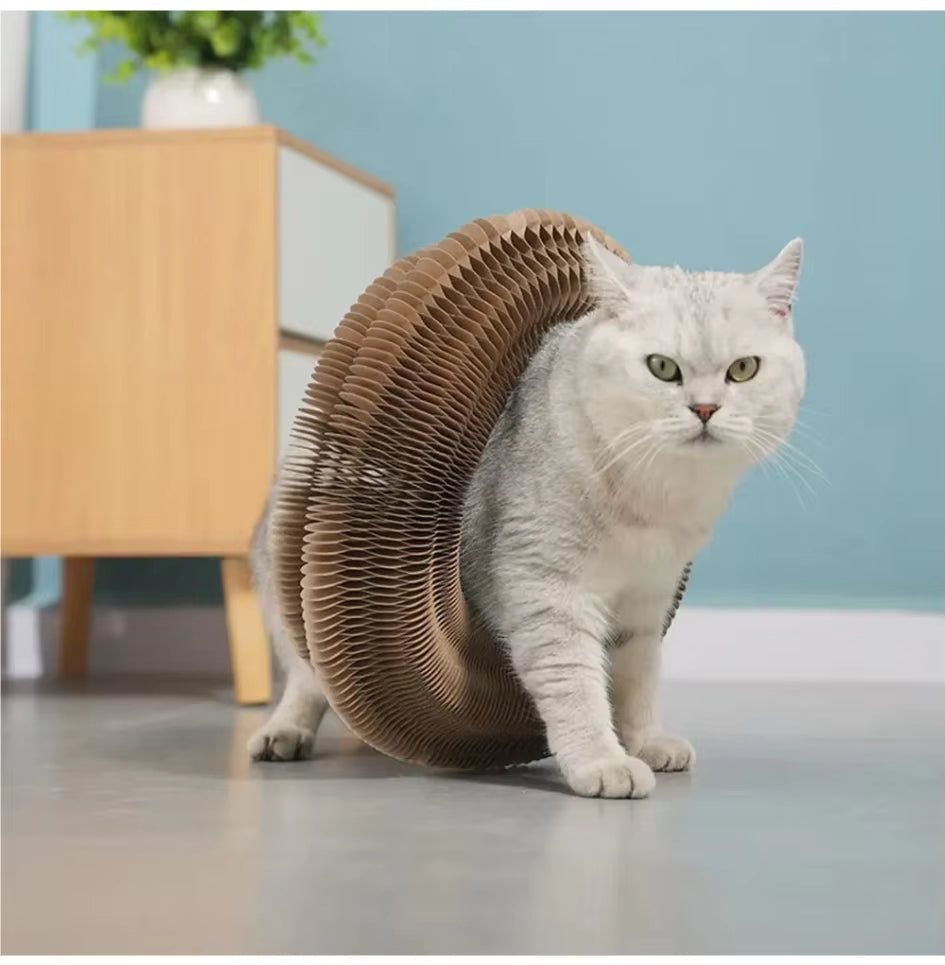 Transformable Kitty Kurlz Cat Toy Wear-Resistant No Crumbs Cat Scratching Board Resistant to Scratching