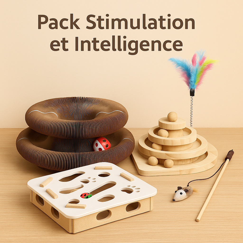 Pack Stimulation Naturelle pour Chat plus Actif, Curieux et Equilibré
