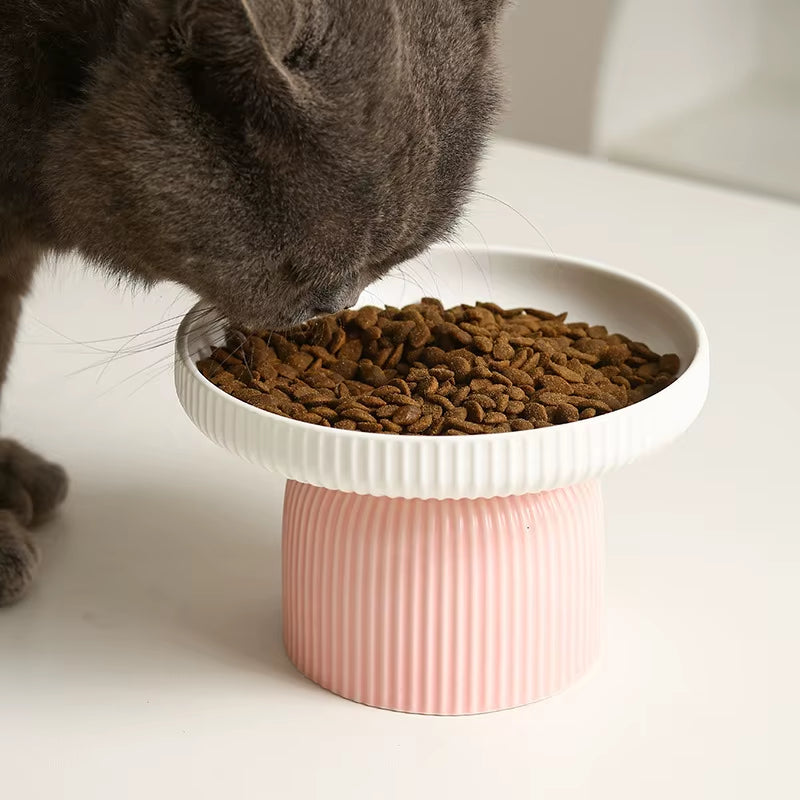 Elevated Ceramic Cat Bowl Non-Slip Pet Food Dishheavy Base for Flat-Face Cats/Dogs, Neck Protection, Anti-Spill, Easy Clean